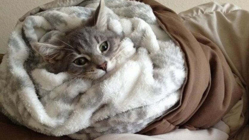 Прогноз погоды в Украине