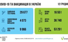 Статистика по коронавирусу на утро 13 декабря, коронавирус в Украине