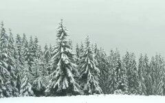 Первый снег, Закарпатье