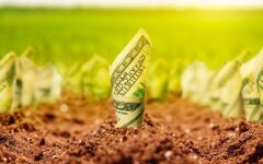 Ринок землі в Україні