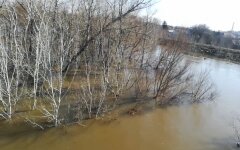 Орськ (РФ), прорив греблі