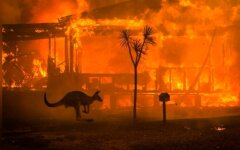 пожары в Австралии