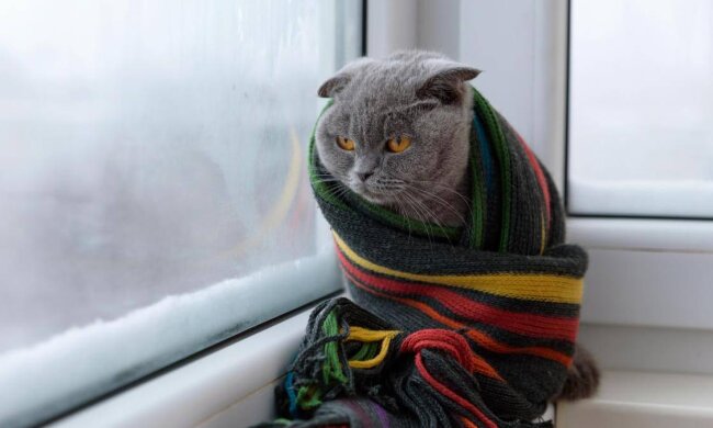 Прогноз погоды зимой