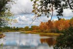 Прогноз погоди в Україні / Фото: Pixabay