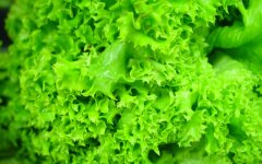 salat