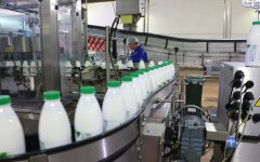 Виробництво молока