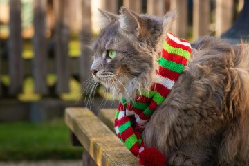 Прогноз погоди в Україні / Фото: Unsplash