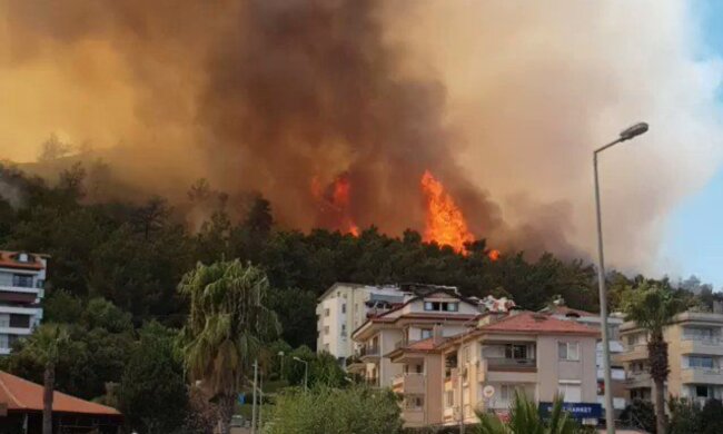 В Турции бушуют лесные пожары, в Бодруме эвакуируют людей: видео
