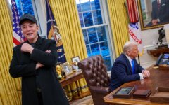 Ілон Маск і Дональд Трамп