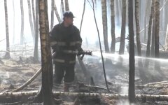Пожары в Украине