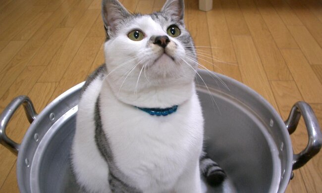 Отключение горячей воды