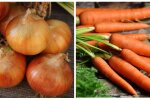 Ціни на цибулю та моркву, ціни на овочі