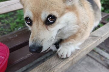 Погода в Украине