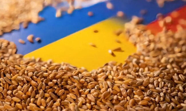 Вывоз Россией украинского зерна