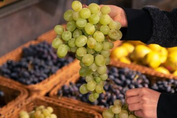 Ціни на виноград в Україні / Фото: freepik.com