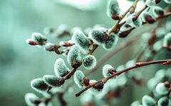 Погода в Украине, погода в Киеве, прогноз погоды