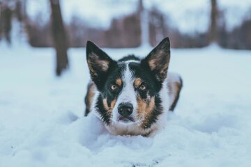 Прогноз погоды в Украине / Фото: Pexels