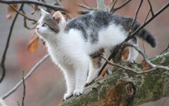 Прогноз погоды в Украине / Фото Emilia / Pixabay