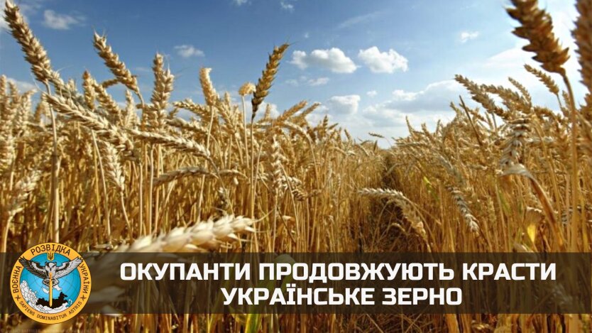 Українське зерно, фото