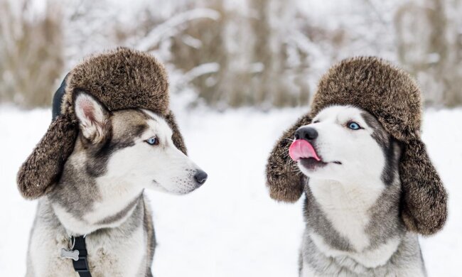 Прогноз погоды в Украине / Фото: ua.depositphotos.com