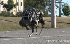 boston-dynamics-robotyi