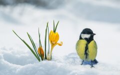 Прогноз погоды в Украине