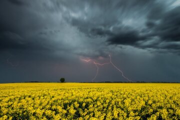 Прогноз погоды в Украине
