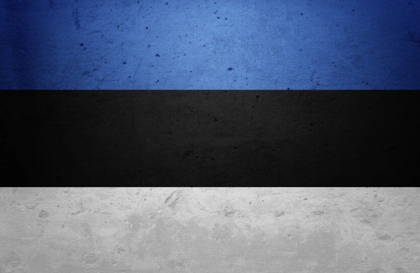 Эстония стремится сделать такой шаг в рамках миссии НАТО