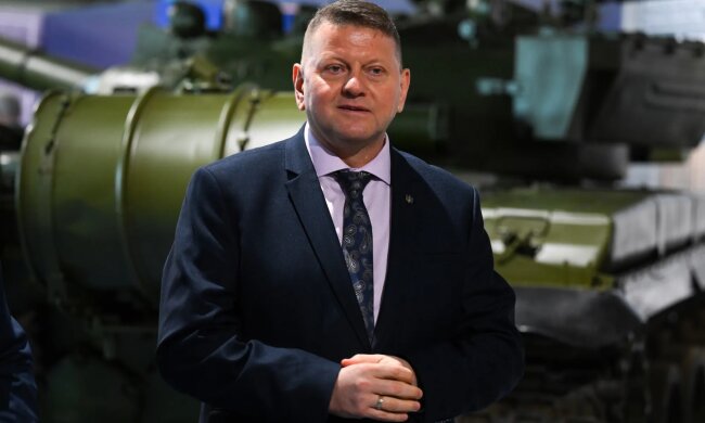 Валерий Залужный