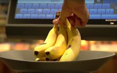 Цены на бананы в Украине