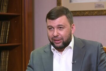 Денис Пушилин, российские папорта, ОРДО