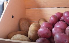 Цены на продукты в Украине, цены на картофель