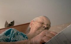 Мошенники предлагают окна пенсионерам и оставляют без денег