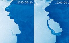 От Антарктиды откололся крупнейший за последние 50 лет айсберг