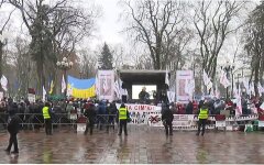 Протест под Верховной Радой, Компенсация за карантин, Галина Третьякова