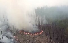 Лесные пожары в Украине, ГСЧС Украины, Пожарная опасность в Украине