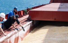 Експорт українського зерна