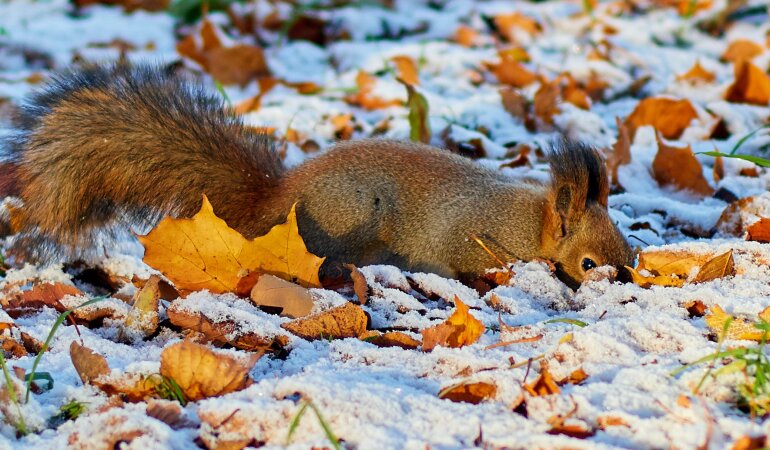 Прогноз погоди в Україні