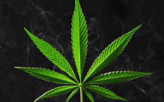 marihuana