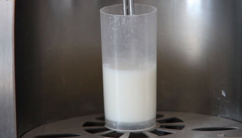 Молочная продукция в Украине, Импорт продуктов в Украину, Анна Лавренюк