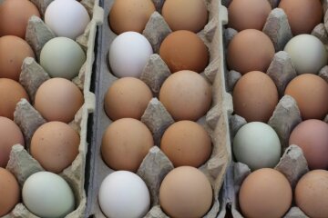 Ціни на яйця в Україні / Фото: Unsplash