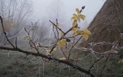 Первые заморозки