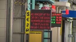 Курс доллара в Украине, курс гривны, курс валют, прогноз, спекуляции