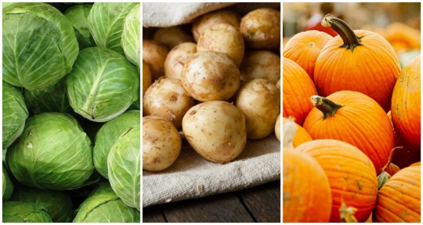 Дешевле 5 гривен: Ашан, Сильпо, АТБ и другие обновили цены на капусту, картофель и тыкву