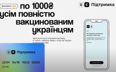 еПоддержка, 1000 за вакцинацию, дия