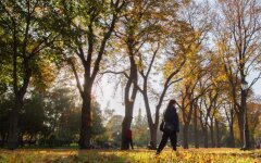 Погода в Украине, прогноз погоды, похолодание