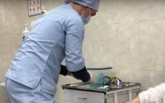анализы, тесты на коронавирус, ответ Евролаб