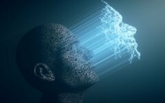 База Clearview AI