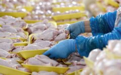 Цены на курятину в Украине