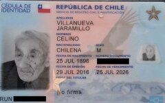 stareyshiy-holostyak